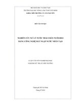 NGHIÊN CỨU XỬ LÝ NƯỚC THẢI CHĂN NUÔI HEO BẰNG CÔNG NGHỆ ĐẤT NGẬP NƯỚC NHÂN TẠO