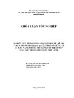 NGHIÊN CỨU TÍNH CHỐNG CHỊU BỆNH BƯỚU RỄ DO TUYẾN TRÙNG Meloidogyne sp. CỦA MỘT SỐ GIỐNG ỔI VÀ KHẢ NĂNG PHÒNG TRỪ BẰNG CÁC BIỆN PHÁP SINH HỌC TRONG ĐIỀU KIỆN NHÀ LƯỚI