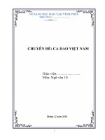 CHUYÊN ĐỀ: CA DAO VIỆT NAM môn Ngữ văn lớp 10