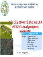 bảo quản lạnh tế bào động vật