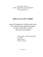   KHẢO SÁT ẢNH HƯỞNG CỦA PHƯƠNG THỨC CHĂM  SÓC, NUÔI DƯỠNG ĐỐI VỚI BỆNH VIÊM MÓNG   VÀ VIÊM VÚ TRÊN BÒ SỮA Ở HUYỆN  HÓC MÔN, TP. HỒ CHÍ MINH   