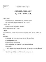 Giáo án Tiếng Việt 2 tuần 12 bài: Chính tả  Nghe  viết: Sự tích cây vú sữa. Phân biệt NGNGH, TRCH, ATAC
