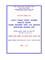 GIẢI PHÁP PHÁT TRIỂN KHÁCH HÀNG DOANH NGHIỆP tại CHI NHÁNH MOBIFONE QUẢNG TRỊ 