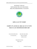 NGHIÊN CỨU, ĐÁNH GIÁ HIỆU QUẢ XỬ LÝ NƯỚC THẢI CỦA GIÁ THỂ DÍNH BÁM HIẾU KHÍ