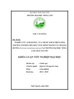 Nghiên cứu ảnh hưởng của thuốc kích thích sinh trưởng FITOMIX đến khả năng hình thành cây hom dạ hương (cestrum noeturnum murray) tại trường đại học nông lâm thái nguyên 