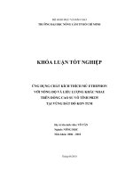 ỨNG DỤNG CHẤT KÍCH THÍCH MỦ ETHEPHON VỚI NỒNG ĐỘ VÀ LIỀU LƯỢNG KHÁC NHAU TRÊN DÒNG CAO SU VÔ TÍNH PB235 TẠI VÙNG ĐẤT ĐỎ KON TUM