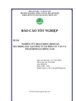 NGHIÊN CỨU HOẠT ĐỘNG ĐỊNH GIÁ BẤT ĐỘNG SẢN TẠI CÔNG TY CỔ PHẦN TƯ VẤN VÀ THẨM ĐỊNH GIÁ ĐÔNG NAM