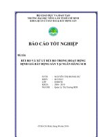 RỦI RO VÀ XỬ LÝ RỦI RO TRONG HOẠT ĐỘNG ĐỊNH GIÁ BẤT ĐỘNG SẢN TẠI NGÂN HÀNG SCB