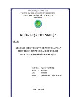 KHẢO SÁT HIỆN TRẠNG VÀ ĐỀ XUẤT GIẢI PHÁP PHÁT TRIỂN BỀN VỮNG TẠI KHU DU LỊCH SINH THÁI HẦM HÔ -TỈNH BÌNH ĐỊNH