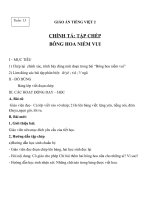 Giáo án Tiếng Việt 2 tuần 13 bài: Chính tả  Tập chép: Bông hoa Niềm Vui. Phân biệt iêyê, rdgi, dấu hỏidấu ngã