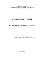   ỨNG DỤNG BỘT TÁI SINH TRONG SẢN XUẤT GIẤY  TISSUE, GIẤY CARTON VÀ GIẤY IN BÁO   