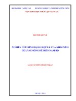 Nghiên cứu hình dạng hợp lý của khối nêm để làm móng đê biển Nam Bộ (Luận án tiến sĩ)