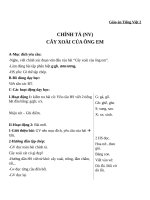 Giáo án Tiếng Việt 2 tuần 11 bài: Chính tả  Nghe  viết: Cây xoài của ông em. Phân biệt GGH, SX, ƯƠNƯƠNG