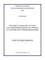 Ảnh hưởng thương hiệu và văn hóa cấp cá nhân đến quyết định mua máy tính bảng của người tiêu dùng tại TP HCM 