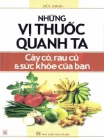 Những vị thuốc quanh ta – cây cỏ, rau củ và sức khỏe của bạn 