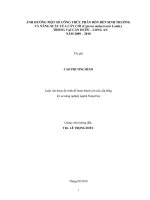 ẢNH HƯỞNG MỘT SỐ CÔNG THỨC PHÂN BÓN ĐẾN SINH TRƯỞNG VÀ NĂNG SUẤT CỦA CÂY CÓI (Cyperus malaccensis Lamk.) TRỒNG TẠI CẦN ĐƯỚC - LONG AN NĂM 2009 – 2010