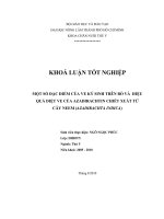   MỘT SỐ ĐẶC ĐIỂM CỦA VE KÝ SINH TRÊN BÒ VÀ  HIỆU  QUẢ DIỆT VE CỦA AZADIRACHTIN CHIẾT XUẤT TỪ  CÂY NEEM (AZADIRACHTA INDICA)   