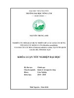Nghiên cứu mối quan hệ giữa các loài cây rừng tự nhiên với loài cây kháo lá to (machilus grandifolia s  k  lee et f  n  wei) và loài cây lát hoa (chukrasiatabularis a juss) tại vườn quốc gia ba bể   tỉnh bắc kạn 