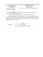 Đề thi HSG Ngữ văn 9 cấp huyện