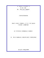 Đào tạo nguồn nhân lực tại Cục Hải quan tỉnh Thừa Thiên Huế