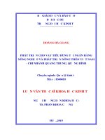 Phát triển cho vay tiêu dùng tại Ngân hàng Nông nghiệp và Phát triển Nông thôn Việt Nam - Chi nhánh Quang Trung, Quảng Bình