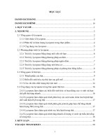 chuyên đề tốt nghiệp Ứng dụng của lycopen trong bảo quản thịt lợn