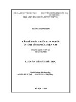 Vấn đề phát triển con người ở tỉnh vĩnh phúc hiện nay 