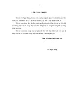 Chiến lược phát triển các dịch vụ thông tin di động của công ty thông tin di động đến năm 2018 