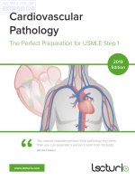 Cardiovascular pathology the perfect preparation for USMLE step 1, 2019