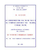Giải pháp phát triển rừng trồng sản xuất trên địa bàn huyện Hướng Hóa, tỉnh Quảng Trị