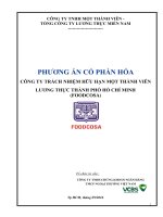 PHƢƠNG ÁN CỔ PHẦN HÓA CÔNG TY TRÁCH NHIỆM HỮU HẠN MỘT THÀNH VIÊN LƢƠNG THỰC THÀNH PHỐ HỒ CHÍ MINH (FOODCOSA)