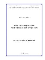 Phát triển thị trường phát thải các bon ở Việt Nam (Luận án tiến sĩ)