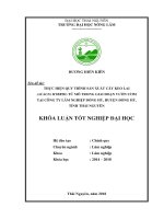 Thực hiện quy trình sản xuất giống keo lai từ mô trong giai đoạn vườn ươm tại công ty lâm nghiệp đồng hỷ   huyện đồng hỷ   tỉnh thái nguyên 