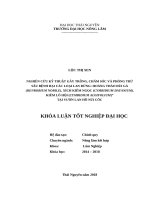 Nghiên cứu kỹ thuật gây trồng, chăm sóc và phòng trừ sâu bệnh hại các loại lan rừng hoàng thảo đùi gà ((denrobium nobile), xích kiếm ngọc (cymbidium dayanium), kiếm lô hội (cymbidium aloifolium)” tại vườn lan hồ  