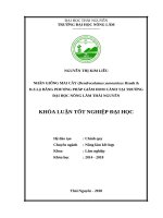 Nhân giống mai cây (dendrocalamus yunnanicus hsueh  d z li) bằng phương pháp giâm hom cành tại trường đại học nông lâm thái nguyên 