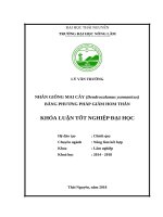 Nhân giống mai cây bằng phương pháp giâm hom thân tại trường đại học nông lâm thái nguyên 