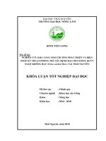 Nghiên cứu khả năng sinh trưởng, phát triển và biện pháp kỹ thuật phòng trừ sâu bệnh hại cho giống quýt ngọt không hạt (citrus unshiu marc) tại thái nguyên 