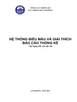 HỆ THỐNG BIỂU MẪU VÀ GIẢI THÍCH BÁO CÁO THỐNG KÊ (Áp dụng đối với cấp xã)