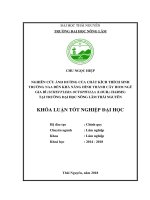 Nghiên cứu ảnh hưởng của chất kích thích sinh trưởng NAA đến khả năng hình thành cây hom ngũ gia bì (schefflera octophylla (lour ) harms) tại trường đại học nông lâm thái nguyên 