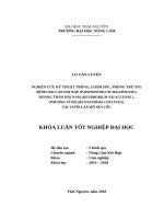 Nghiên cứu kỹ thuật trồng, chăm sóc, phòng trừ sâu bệnh hại lan hài ráp (paphiopedilum malipoense), hoàng thảo hải nam (dendrobium salaccense ), phượng vĩ đỏ (renanthera coccinea)” tại vườn lan hồ núi cốc 