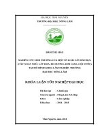 Nghiên cứu sinh trưởng của một số loài cây bản địa cây xoan; lát hoa; re hương; kim giao; gội nước tại mô hình khoa lâm nghiệp, trường đại học nông lâm thái nguyên 