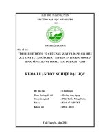 Tìm hiểu hệ thống tổ chức sản xuất và đánh giá hiệu quả kinh tế của cây cà chua tại farm natureza, moshav idan vùng arava, israel thuộc trung tâm liên kết đào tạo phát triển nông nghiệp quốc tế AICAT 