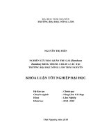 Nghiên cứu bảo quản tre gai (bambusa bambos) bằng thuốc cislin 2 5 EC 