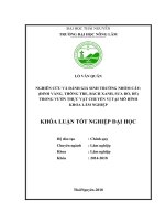Nghiên cứu và đánh gía sinh trưởng nhóm cây đinh vàng, thông tre, bách xanh, sưa đỏ, dẻ  trong vườn thực vật chuyển vị tại mô hình khoa lâm nghiệp 