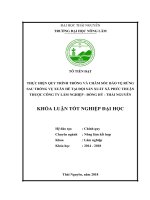 Thực hiện quy trình trồng và chăm sóc bảo vệ rừng sau trồng vụ xuân hè tại đội sản xuất xã phúc thuận thuộc công ty lâm nghiệp   đồng hỷ   thái nguyên 