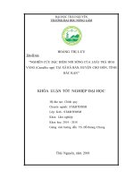 Nghiên cứu đặc điểm nơi sống của loài trà hoa vàng (camellia spp) tại xã rã bản   huyện chợ đồn   tỉnh bắc kạn 