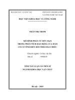 Mô hình phần tử hữu hạn trong phân tích dao động của dầm có cơ tính biến đổi theo hai chiều (tt) 