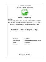 Nghiên cứu ảnh hưởng của thuốc kích thích ra rễ IBA đến sự hình thàng cây hom mật gấu tại trường đại học nông lâm thái nguyên 