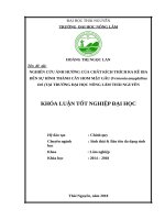 Nghiên cứu ảnh hưởng của thuốc kích thích ra rễ IBA đến sự hình thàng cây hom mật gấu tại trường đại học nông lâm thái nguyên 
