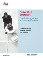 Cisco press global IPv6 strategies from business analysis to operational planning may 2008 ISBN 1587053438 pdf 